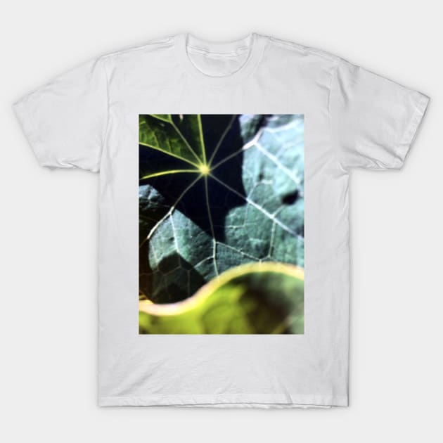 Nasturtium Leaves T-Shirt by Ric1926